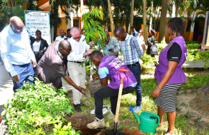Kenya Coast National Polytechnic (KCNP) Leading the way in Green Education Kenya Coast National Polytechnic ( KCNP) Leading the way in Green Education
